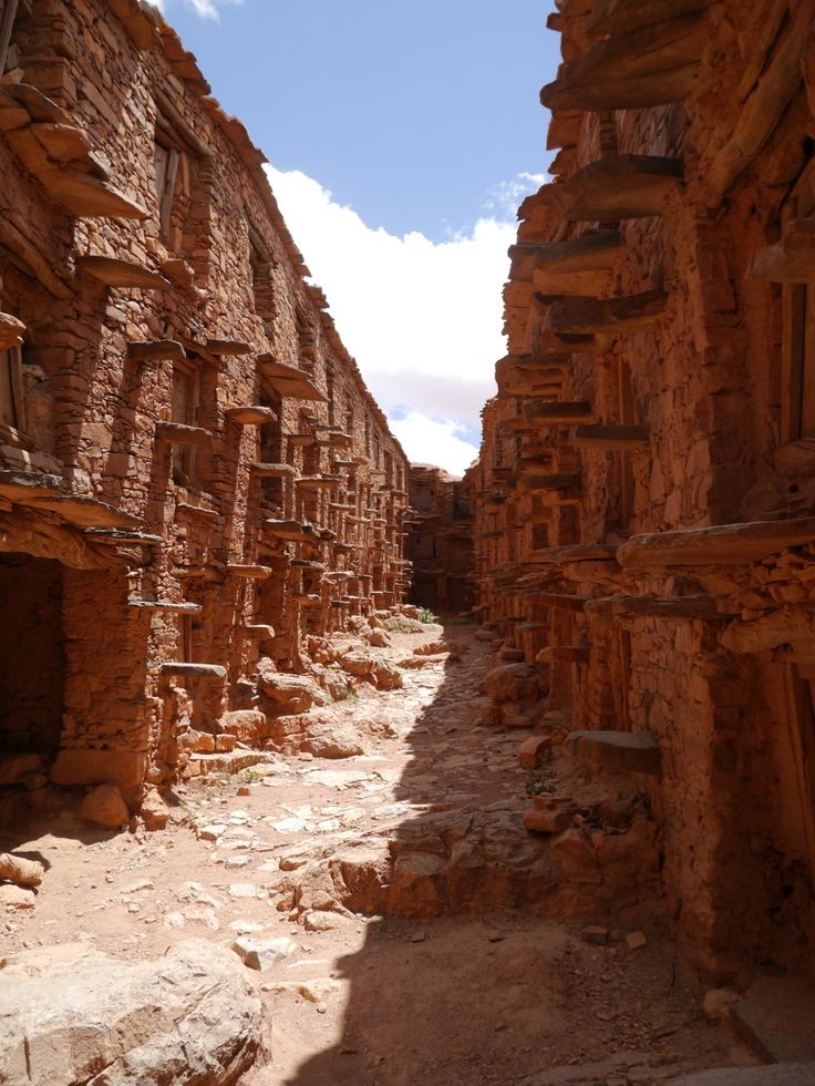 8f66173d425c1524c9990c24dbabe1ed