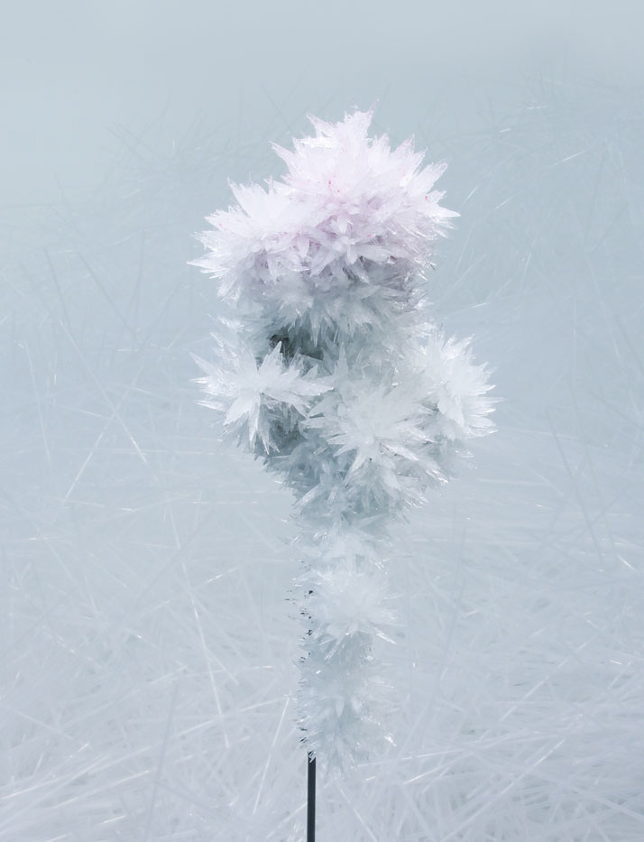 crystallize4