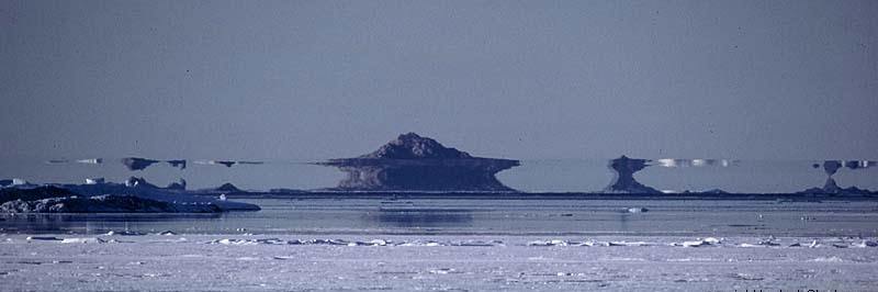 Fata-Bromosa-au-Groenland.jpg-nggid03272-ngg0dyn-800x600-00f0w010c010r110f110r010t010